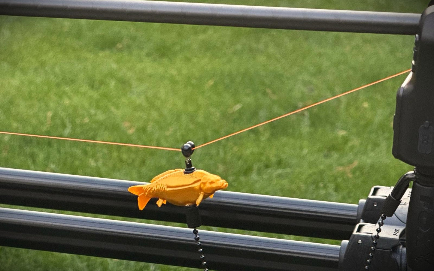 Hanger Mirror Carp