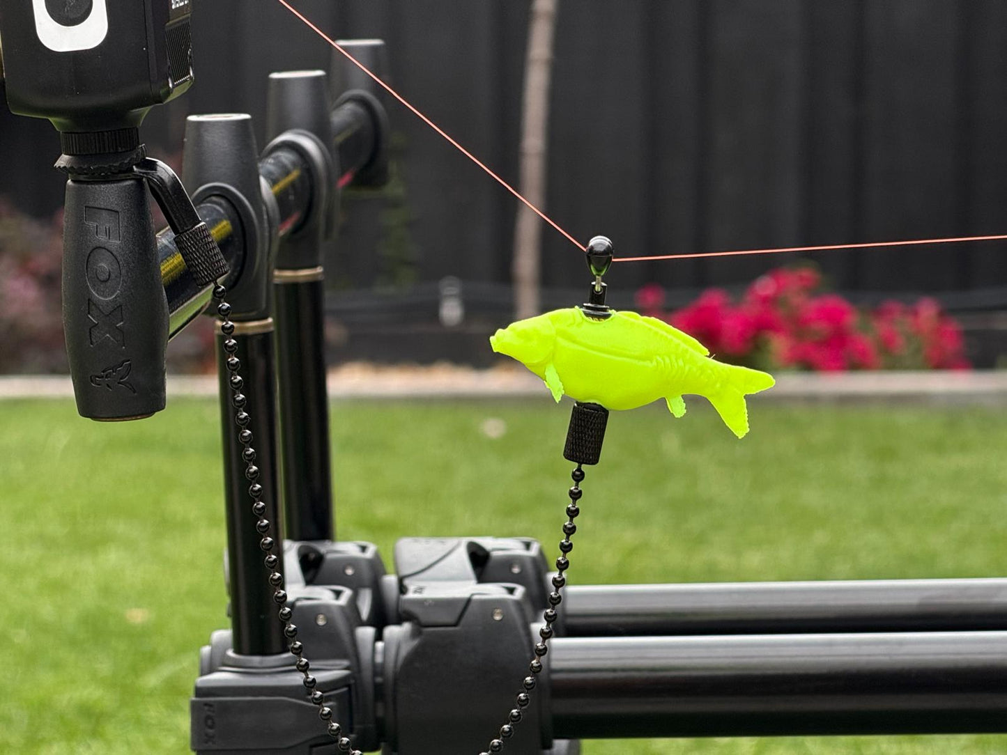Hanger Mirror Carp
