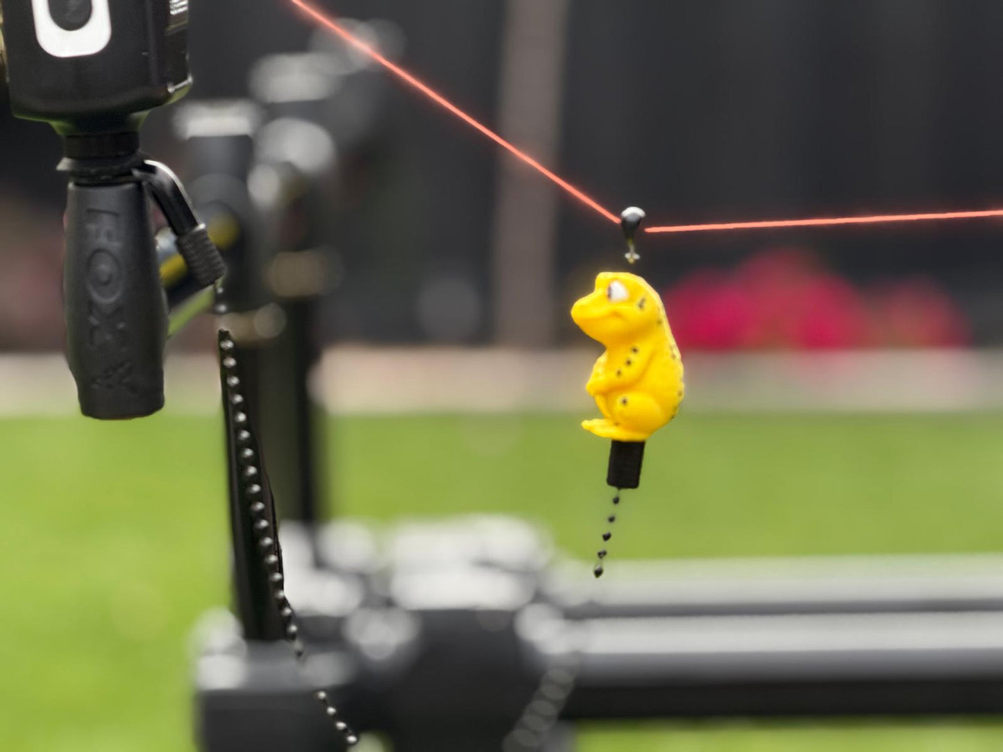 Hanger Frog