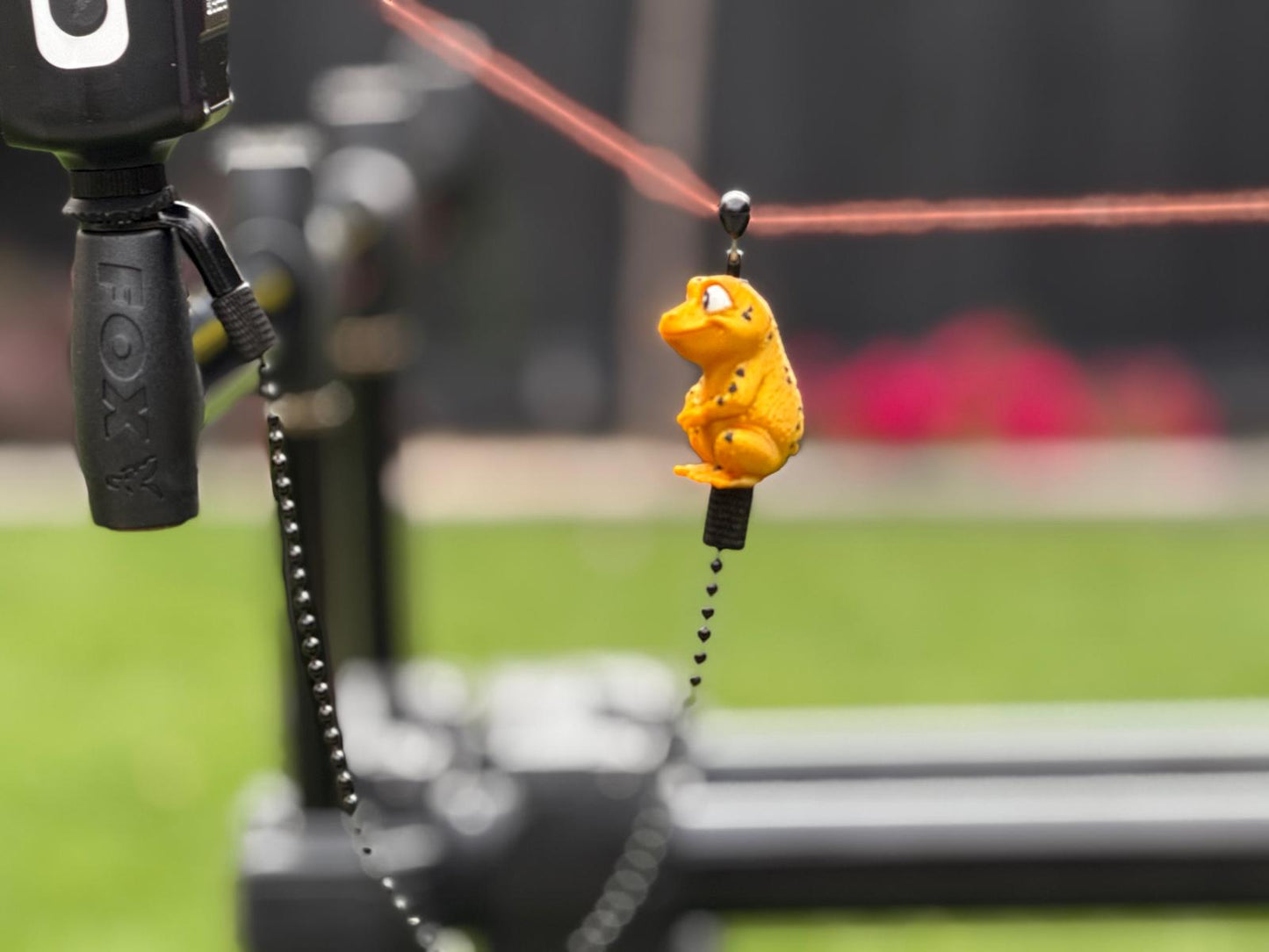 Hanger Frog