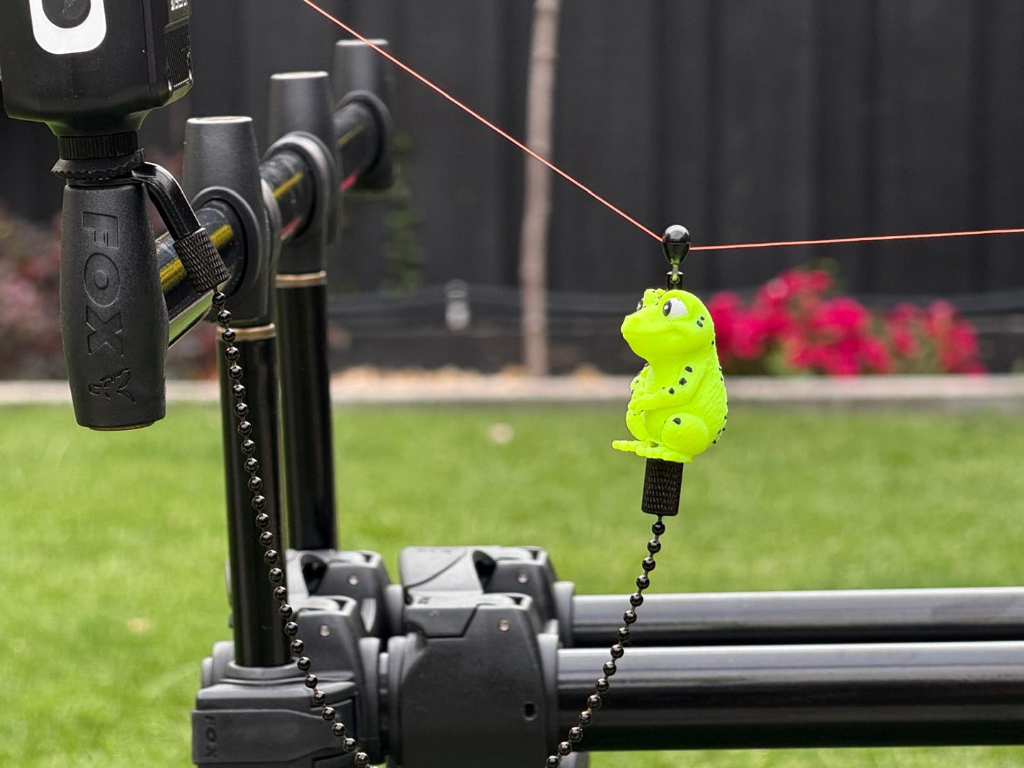 Hanger Frog